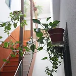 Guest house Angeles Plaza 2*