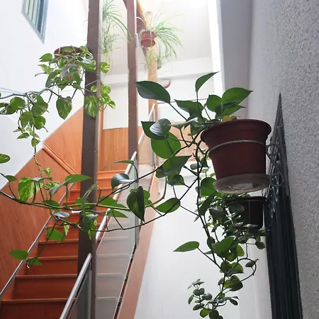 Maison d'hôtes Angeles Plaza 2*