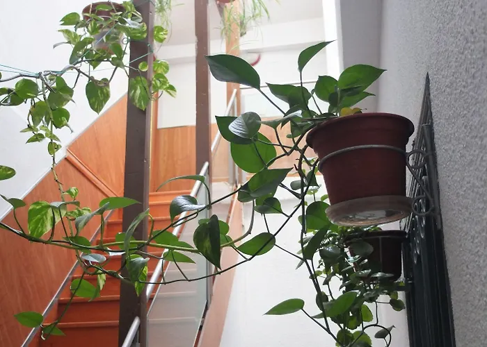 Гостевой дом Angeles Plaza 2*