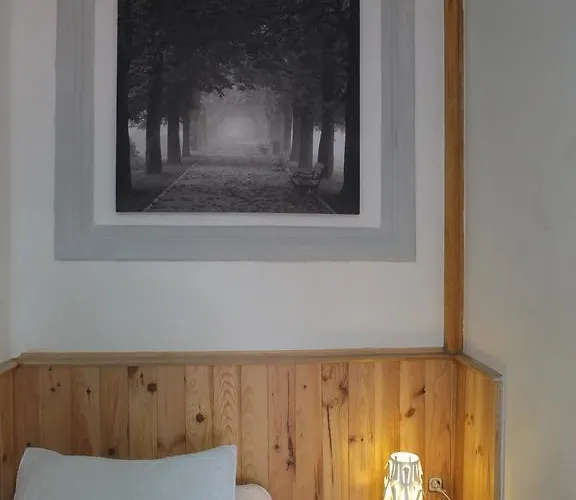 Angeles Plaza Salamanca